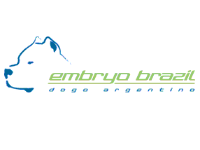 Embryo Brazil